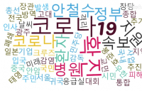 코로나 19 '29번째' 확진자 발생... 조회수1위