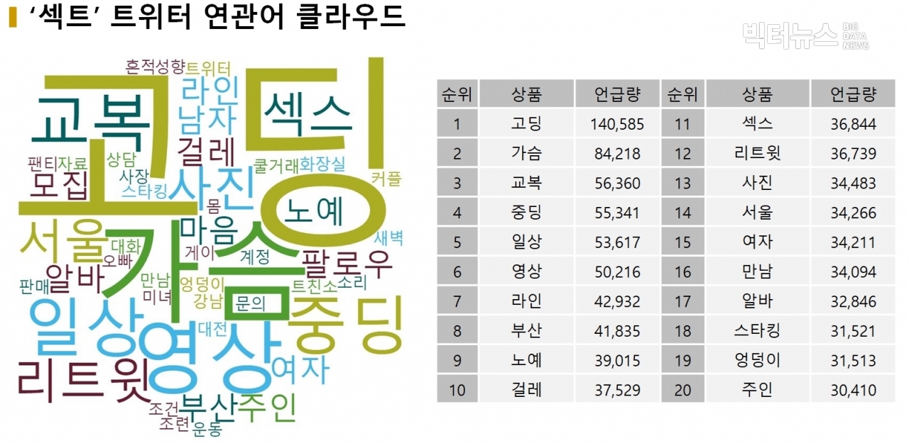 표='섹트계’·‘일탈계' 연관어 클라우드