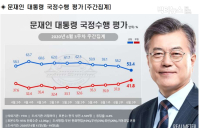 [리서치N] 文대통령 지지율 4.8%p 하락, ‘잘한다’ 53.4% vs ‘잘못한다’ 41.8%