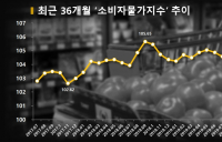 [통계N] 7월 소비자물가 전년比 0.3%↑... 코로나19 여파 후 회복세 지속