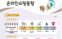 [통계N] 7월 모바일 쇼핑 거래액 8조7,833억원, 전년대비 21.2% 증가