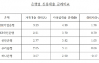 소상공인 두 번 울리는 IBK기업은행의 고금리 신용대출