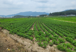 전남도, 전략작물직불금 545억 확정 순차 지급