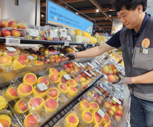 이마트, 제철 과일부터 반찬까지…물가안정 행사