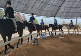 순천시, 25일까지 학생승마 지원사업 2차 참가자 모집