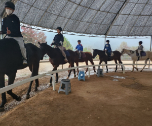 순천시, 25일까지 학생승마 지원사업 2차 참가자 모집