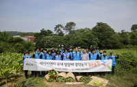 KT&G, 올해도 농가 잎담배 수확 봉사활동