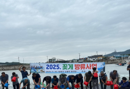 함평군, 어린 꽃게 40만마리 방류
