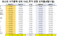 <빅터뉴스 주가 예측>코스피 시가총액 상위 15선_8월 11일_오차율