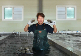 쿠팡, 완도·영광·신안군 수산물 산지직송 확대