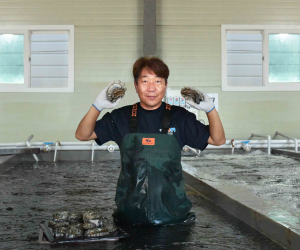 쿠팡, 완도·영광·신안군 수산물 산지직송 확대