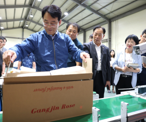 강진군, 장미 반자동 포장 ‘제함기’ 도입