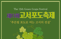 담양군, 고서포도축제 오는 26일 개막
