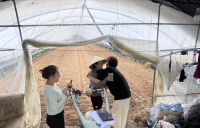 곡성군, 내년 상반기 외국인 계절근로자 고용주 모집